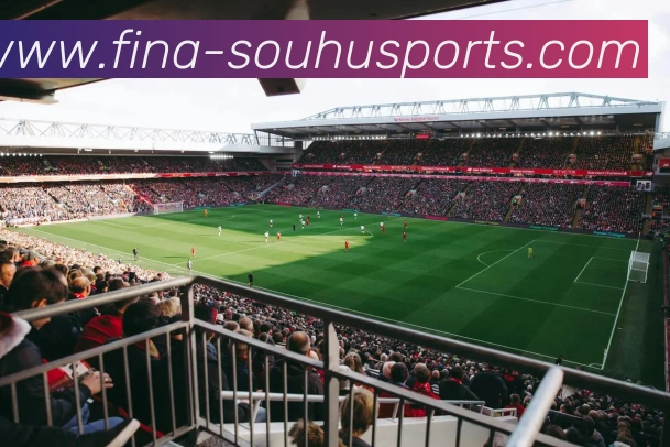 搜狐体育服务体系